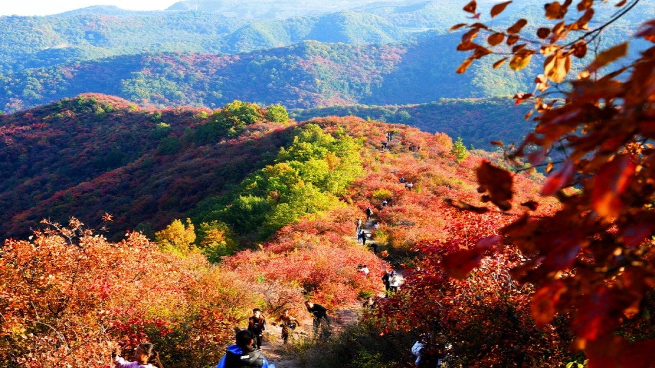秋天里的韩城
